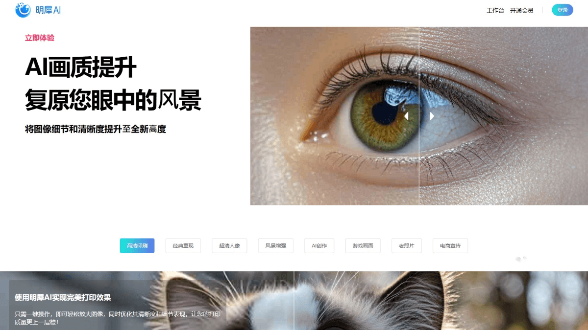 明犀AI screenshot